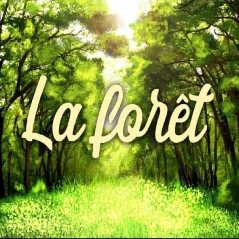 Локация La Foret 